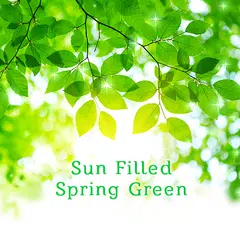 Sun Filled Spring Green Theme XAPK Herunterladen