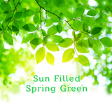 Sun Filled Spring Green icône