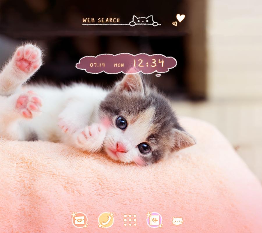 Cute Wallpaper Feline Sight Theme For Android Apk Download