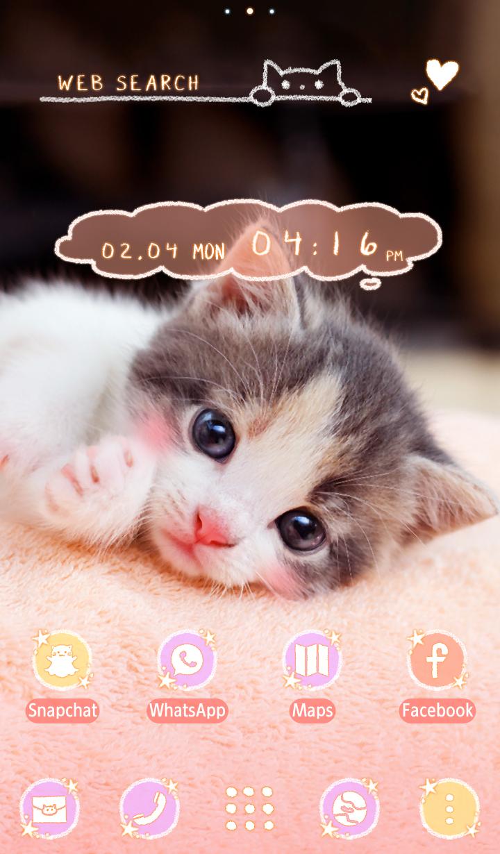 Android 用の かわいい壁紙アイコン 子猫の視線 無料 Apk をダウンロード