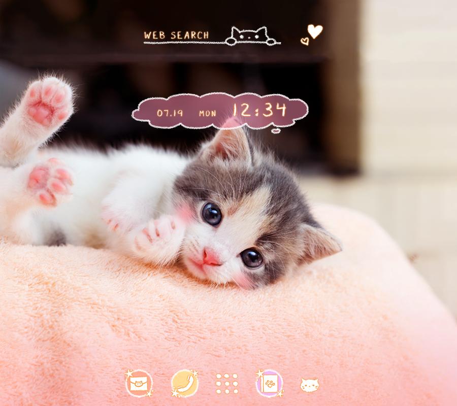 Sweet T I R A M I S U 32 子猫 待ち受け 猫 画像 かわいい 無料