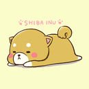 Cute Mini-Shiba Theme APK