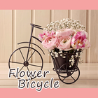 Cute Wallpaper Flower Bicycle icône