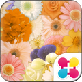 Flower Wallpaper Happiness