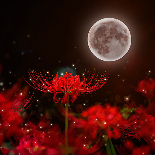 Red Spider Lily Theme