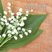 ”icon & wallpaper-May Day-