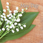 icon & wallpaper-May Day- icône