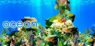 ocean 南国の海の壁紙きせかえ