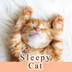 Sleepy Cat Theme