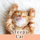 Sleepy Cat icône
