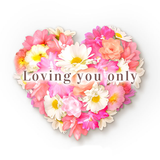 APK Heart Theme Loving you only