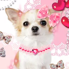 Dog Wallpaper Me and My Puppy APK download