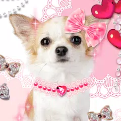 Dog Wallpaper Me and My Puppy APK Herunterladen