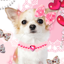 Dog Wallpaper Me and My Puppy APK