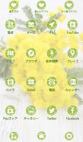 Mimosa flowers スクリーンショット 2