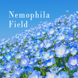 Nemophila Field ikon