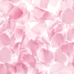 Sheer Sakura Theme +HOME APK Herunterladen