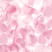 Sheer Sakura Theme +HOME आइकन