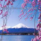 Chery Blossoms & Mt. Fuji Zeichen