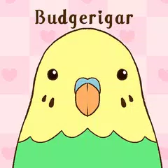 Budgerigar Theme XAPK download