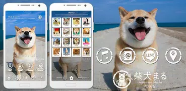 【柴犬まる】無料きせかえ-かわいい壁紙・アイコン