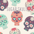Sugar Skull Wallpaper APK