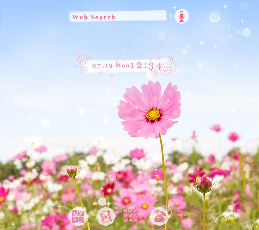 Android 用の お花の壁紙 アイコン ピンクのコスモス Apk をダウンロード