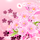 APK Japanese Sakura Wallpaper