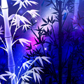 Romantic Theme-Wishing Stars-
