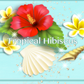 Tropical Hibiscus-Wallpaper