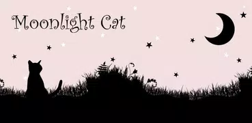 Cute Wallpaper Moonlight Cat