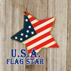 U.S.A. Flag Star-icoon