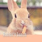 Cute Theme-Rabbit's Lunch- icône