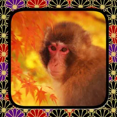 The Crab & the Monkey Icon