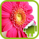 DVR:Flower Pack APK