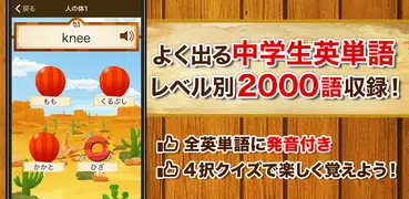 中学生の英単語2000（中学英語勉強アプリ）