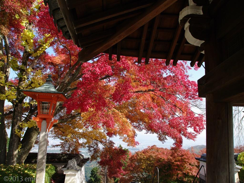 Android 用の 秋の紅葉の壁紙 In京都 Apk をダウンロード