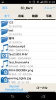 SkyLink PortableCloud imagem de tela 1