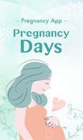 Pregnancy Days poster