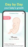 Pregnancy Days screenshot 1