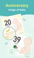 Pregnancy Days screenshot 2