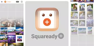 Squaready