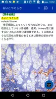 医学大辞典＋医学略語コンパクト（医歯薬出版） Screenshot 2