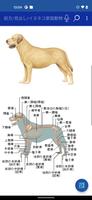 旧、イヌ・ネコ家庭動物の医学大百科（辞典）：新改訂版◆出版中 скриншот 1
