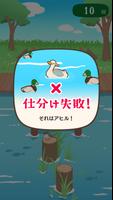 アヒルかも？  Duck or Duck capture d'écran 2