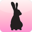 AnimalDesignBattery APK