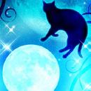 Moon&Blackcat Kirakira(FREE) APK