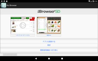 Biz/Browser 海报