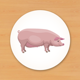 Animal Card Matching aplikacja