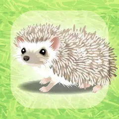 治癒的猬育成遊戲 APK 下載